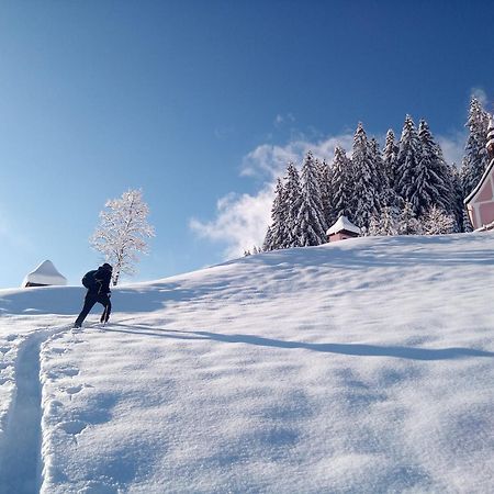 Dangos Mountainview Gosau Διαμέρισμα Εξωτερικό φωτογραφία