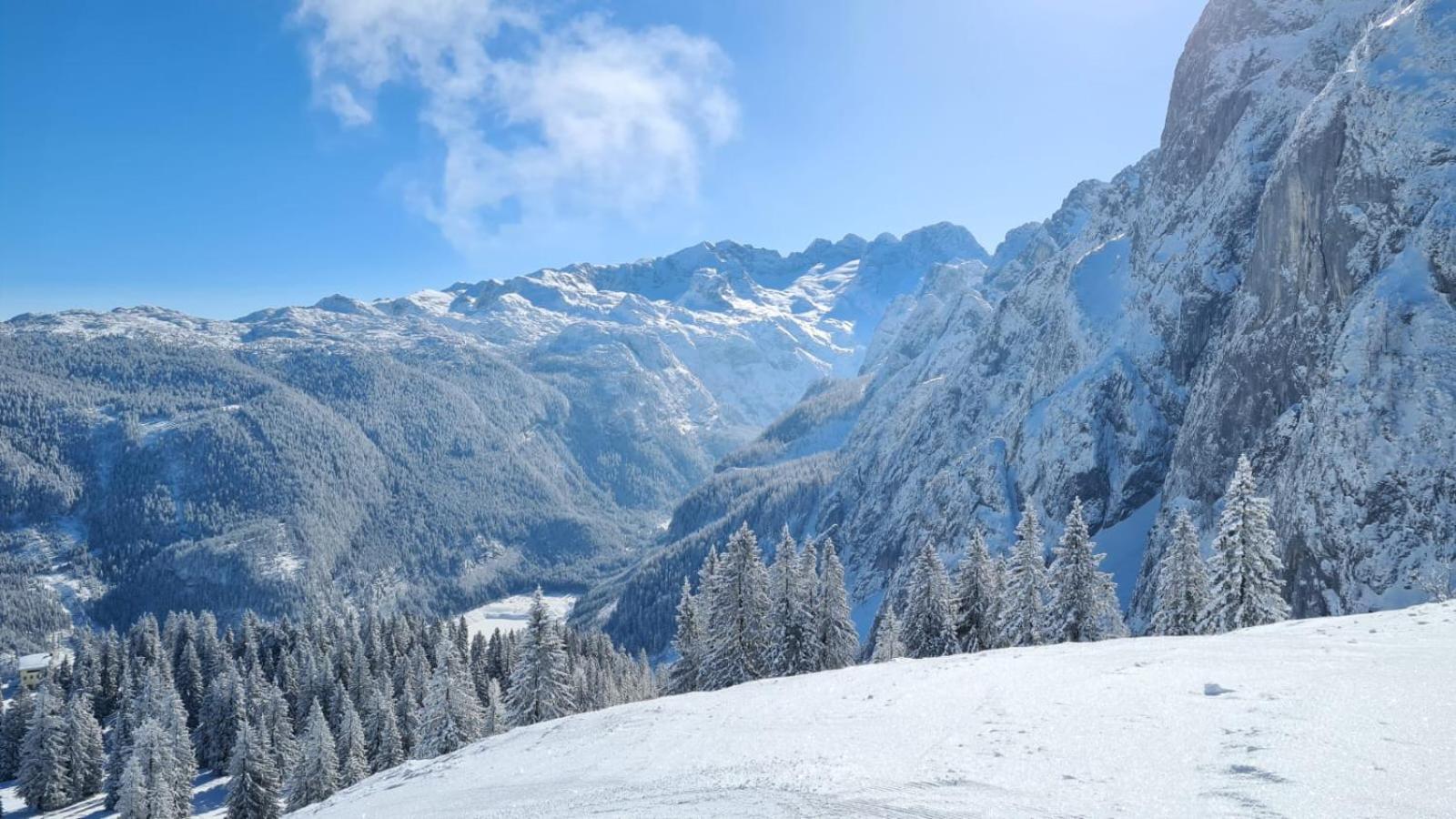 Dangos Mountainview Gosau Διαμέρισμα Εξωτερικό φωτογραφία