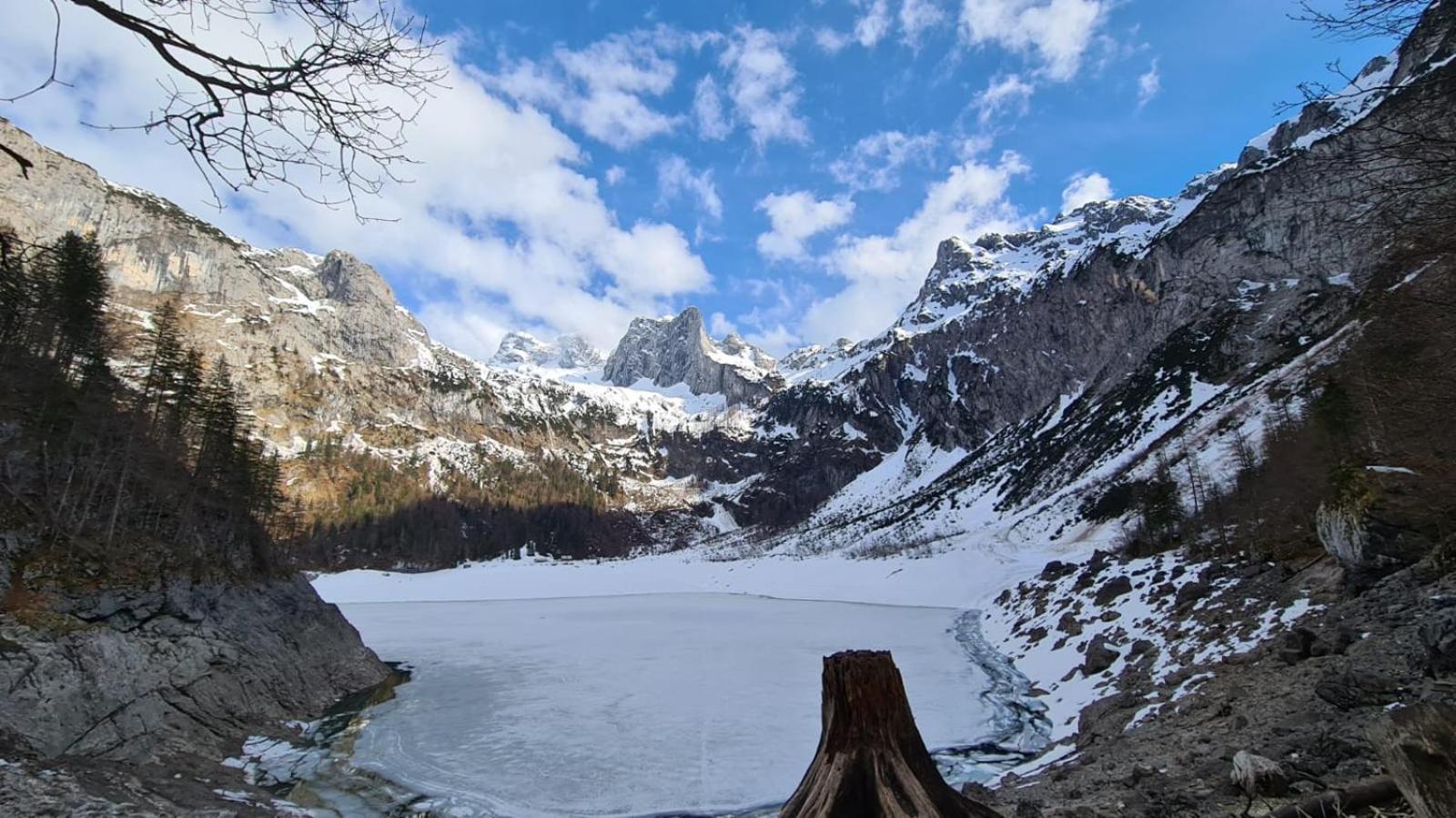 Dangos Mountainview Gosau Διαμέρισμα Εξωτερικό φωτογραφία
