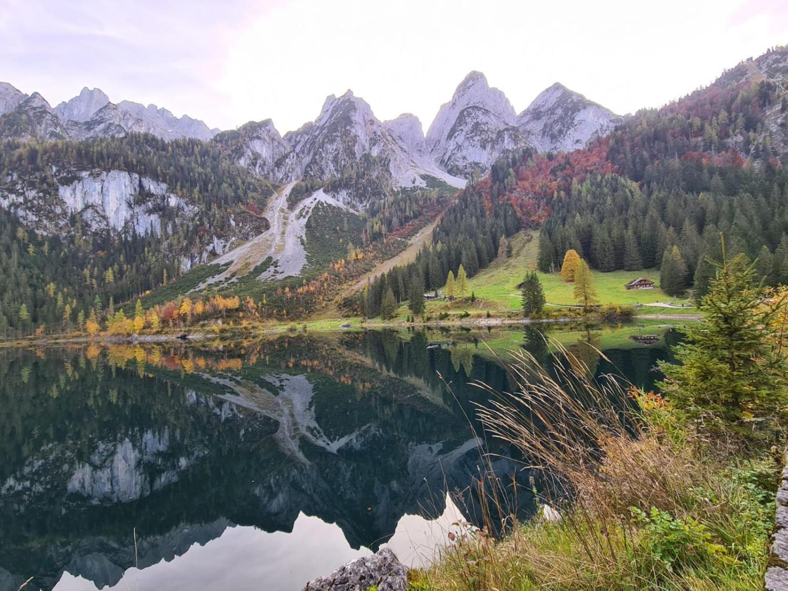 Dangos Mountainview Gosau Διαμέρισμα Εξωτερικό φωτογραφία