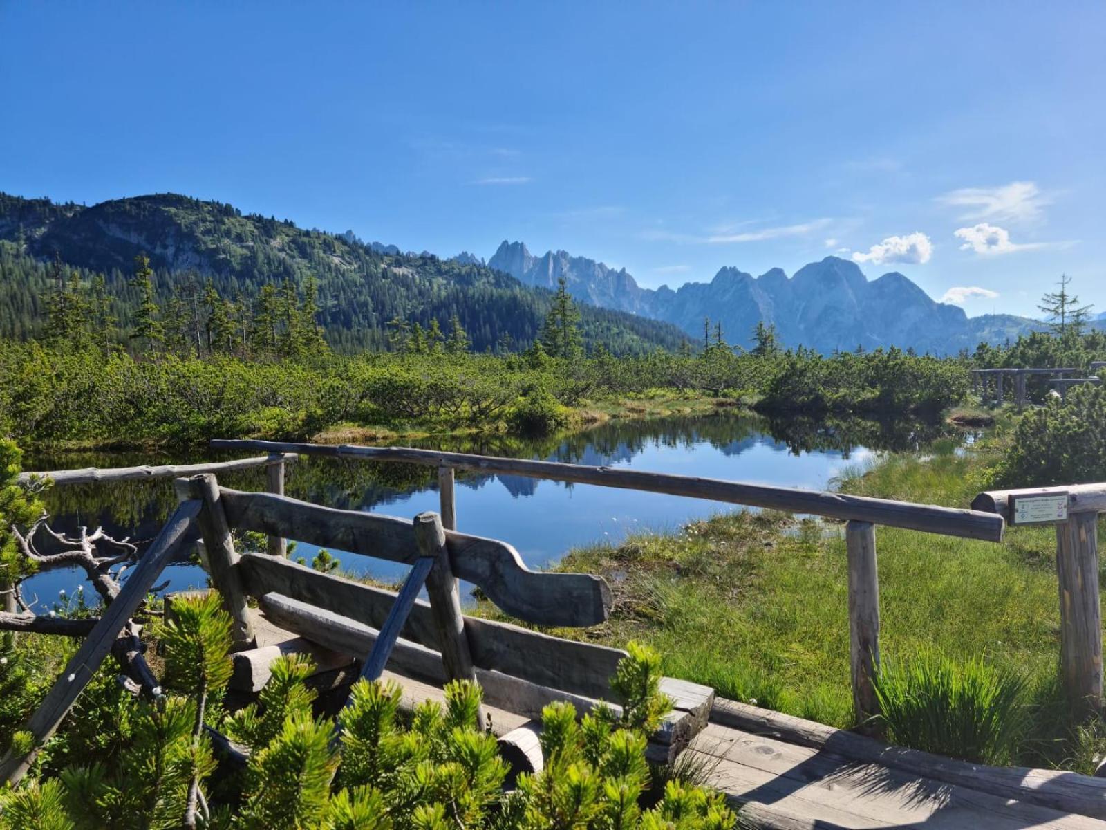 Dangos Mountainview Gosau Διαμέρισμα Εξωτερικό φωτογραφία