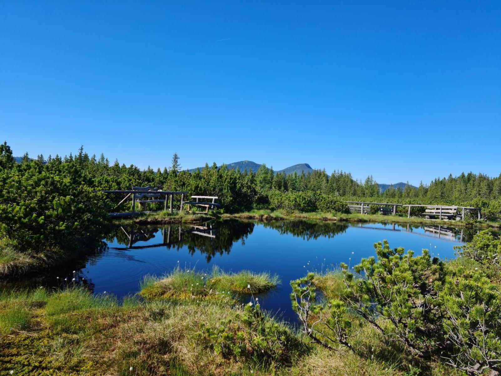 Dangos Mountainview Gosau Διαμέρισμα Εξωτερικό φωτογραφία