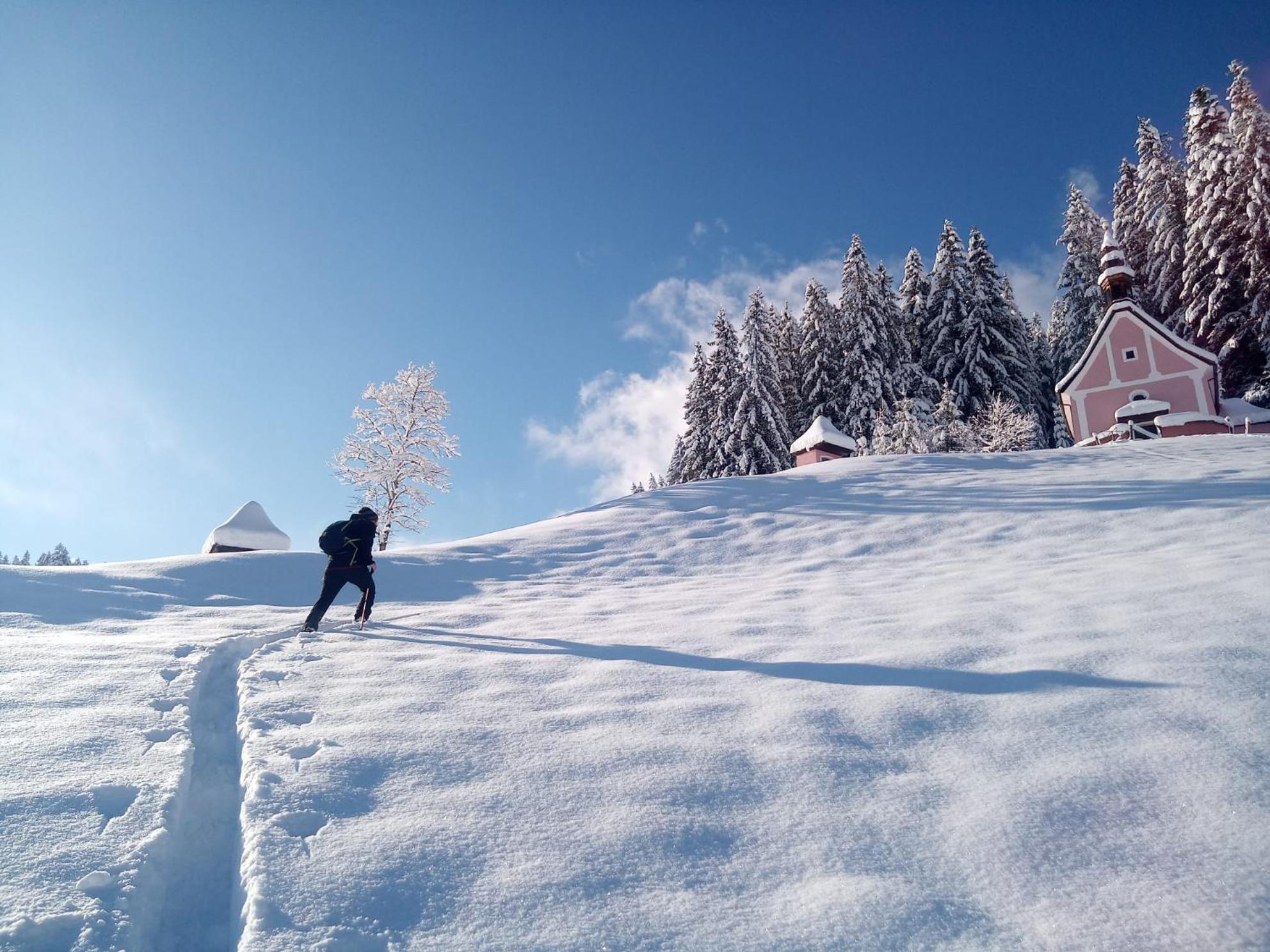 Dangos Mountainview Gosau Διαμέρισμα Εξωτερικό φωτογραφία